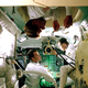 Image for article titled 6 Appalling Things I Would Do If I Ran Famous Scientific Institutions
